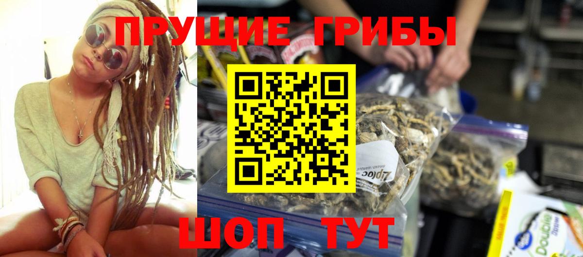 Псилоцибиновые грибы Psilocybine cubensis Ярцево