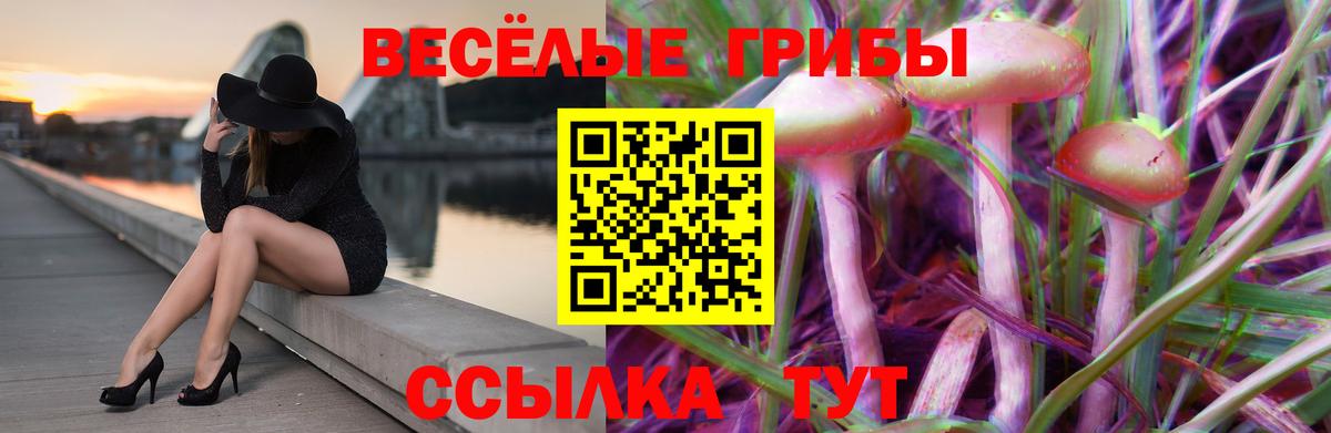 Псилоцибиновые грибы Magic Shrooms  Галлюциногенные грибы Cubensis  Ярцево  Вход с VPN 